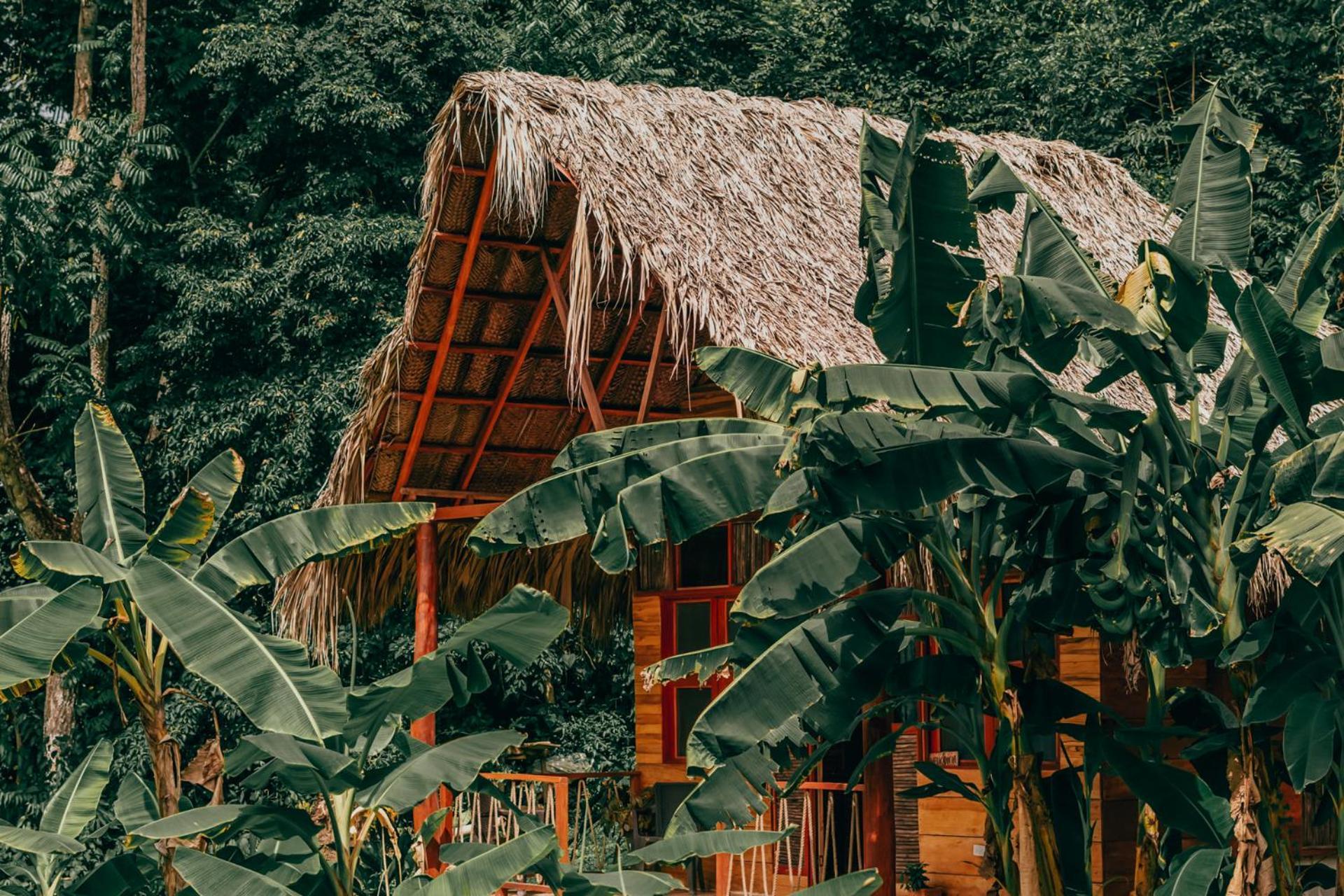 Magic Green Dentro Del Parque Tayrona Ель-Зайно Екстер'єр фото