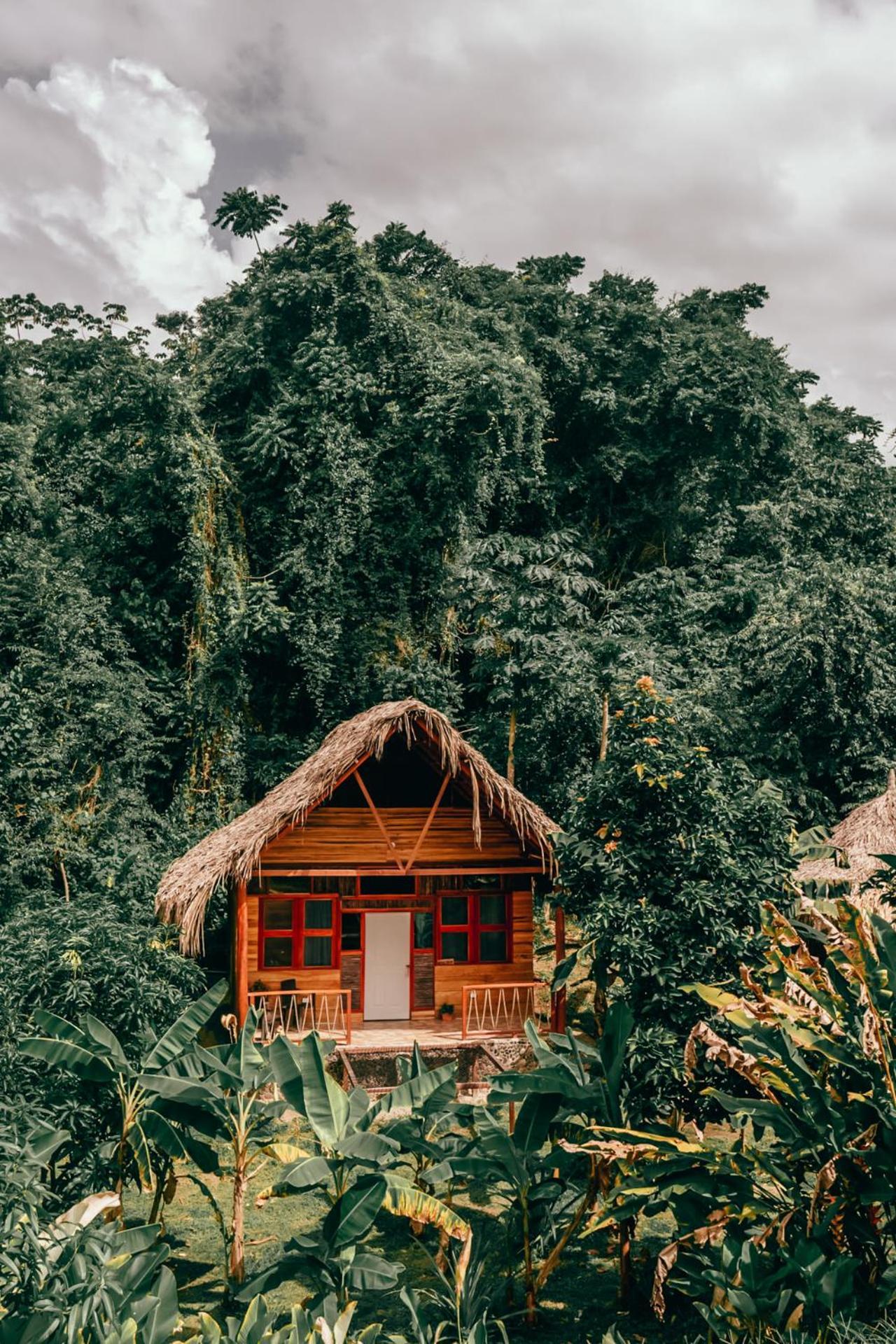 Magic Green Dentro Del Parque Tayrona Ель-Зайно Екстер'єр фото