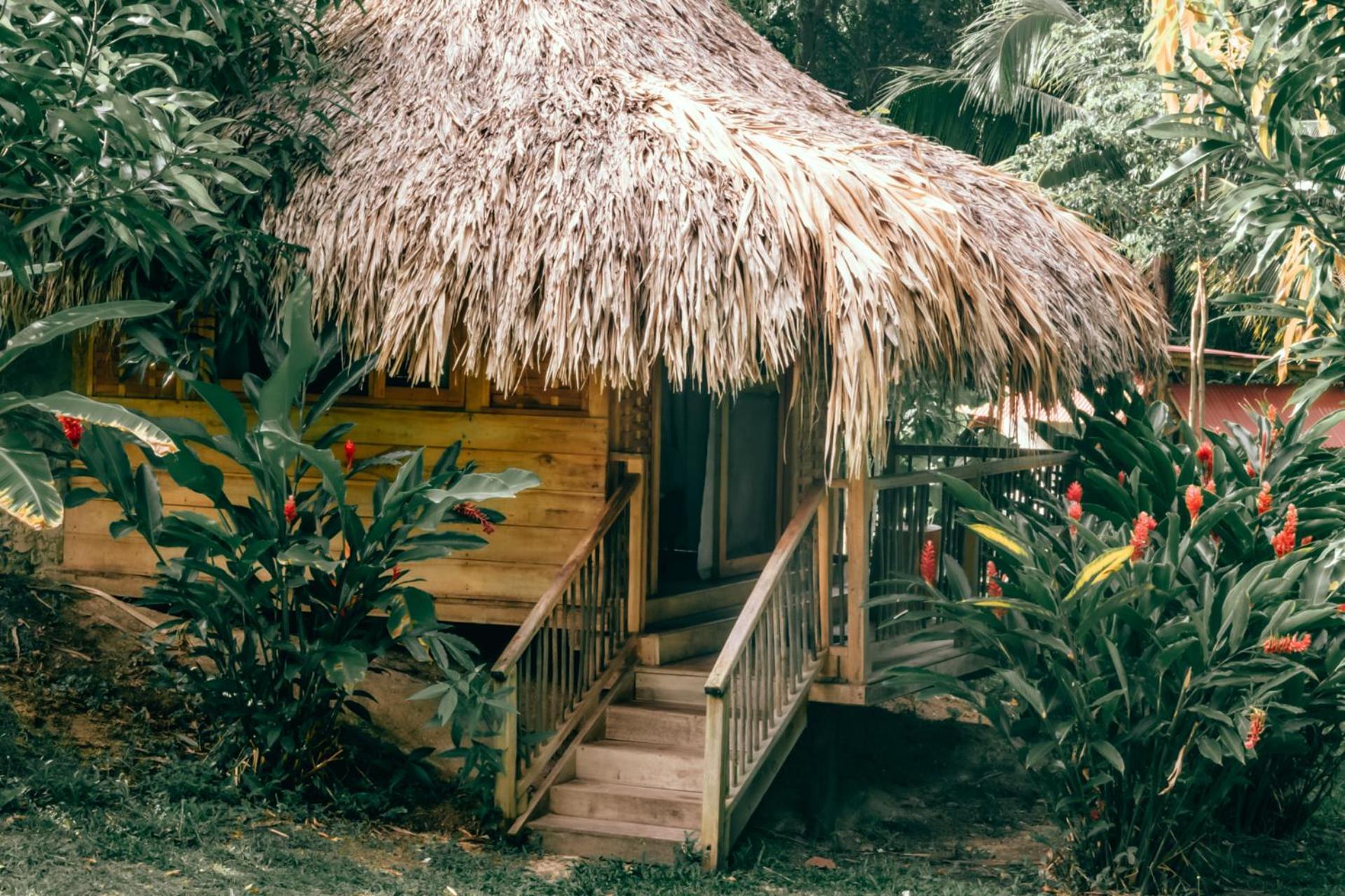 Magic Green Dentro Del Parque Tayrona Ель-Зайно Екстер'єр фото