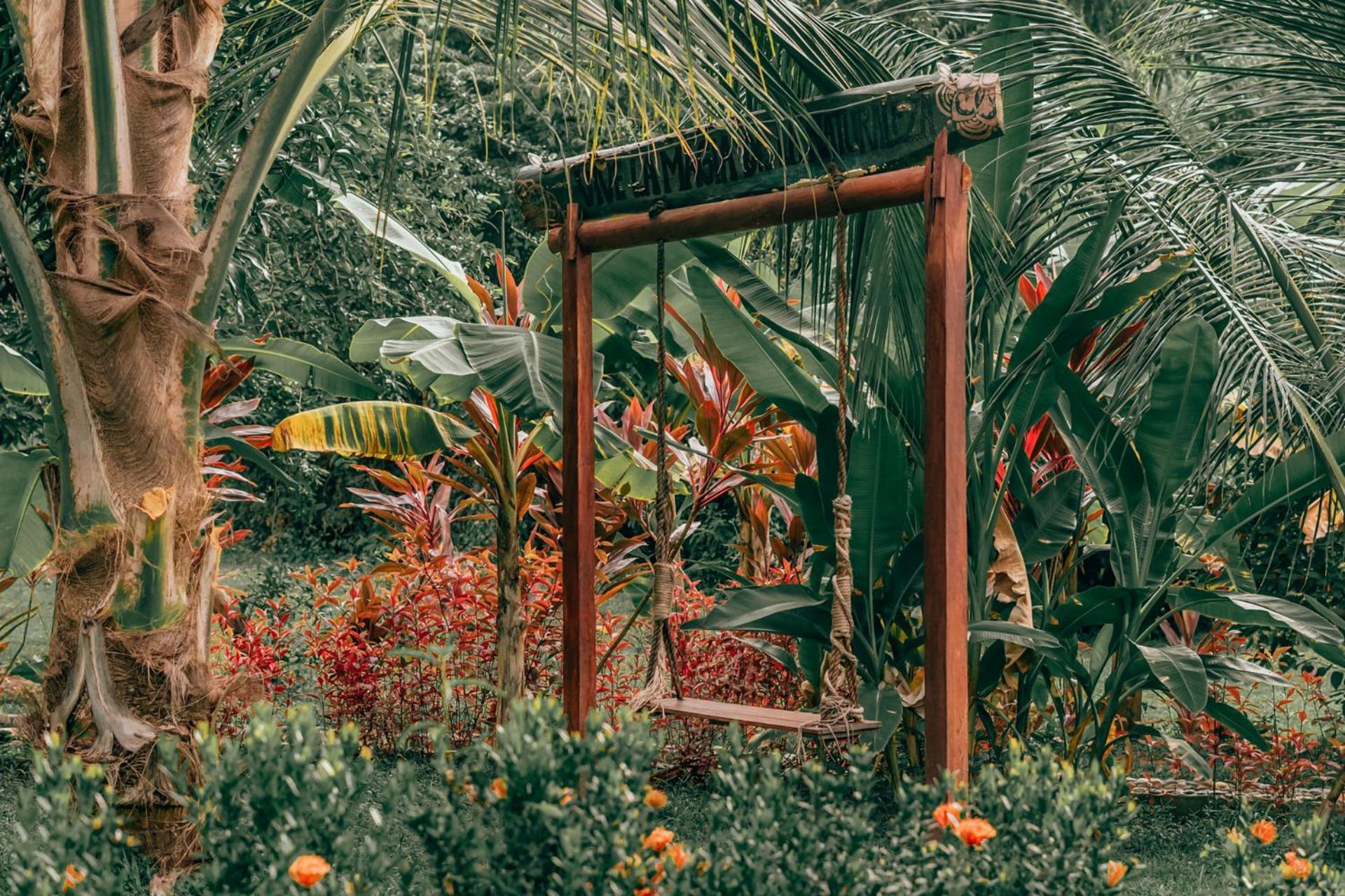 Magic Green Dentro Del Parque Tayrona Ель-Зайно Екстер'єр фото