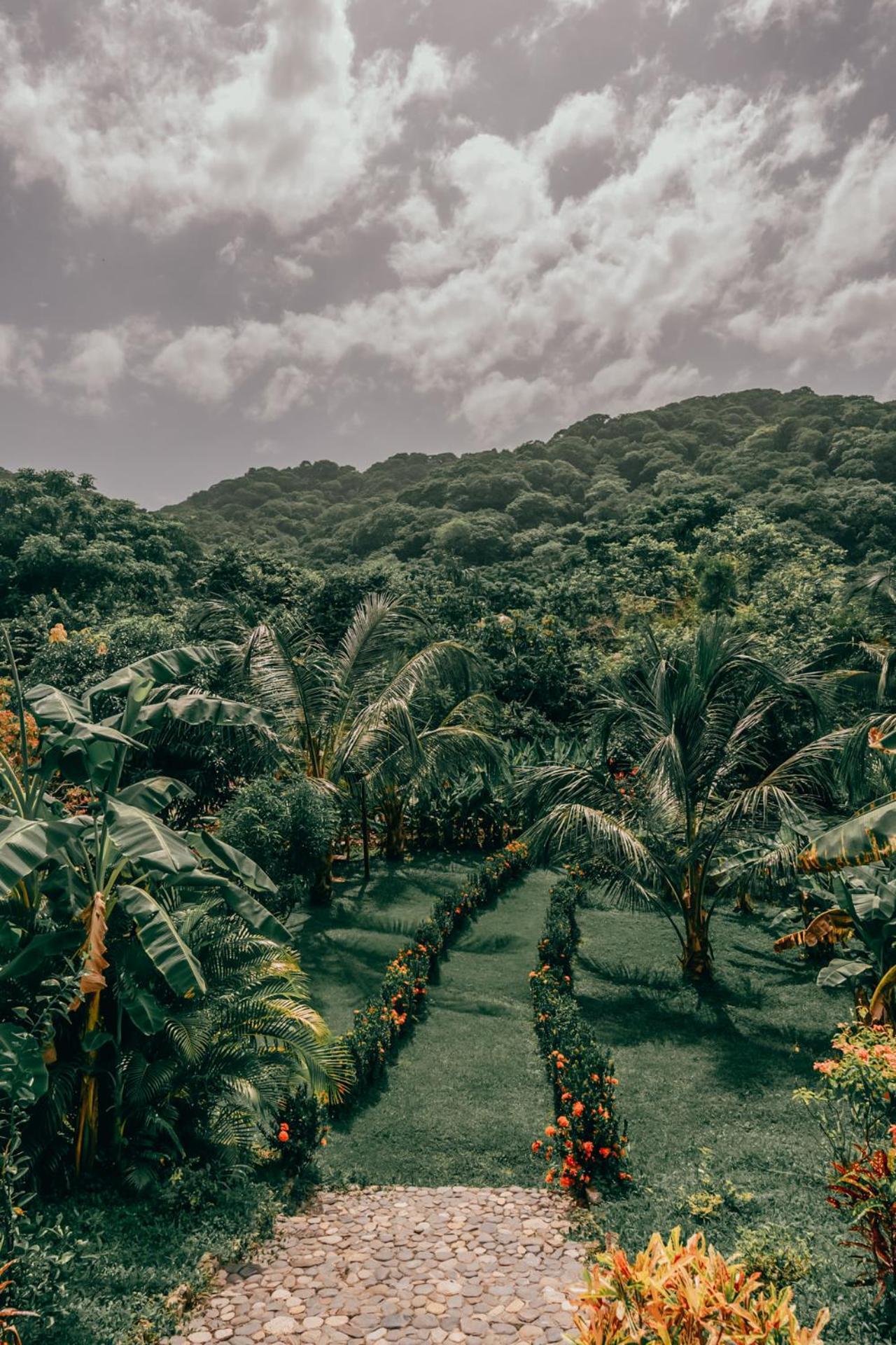 Magic Green Dentro Del Parque Tayrona Ель-Зайно Екстер'єр фото